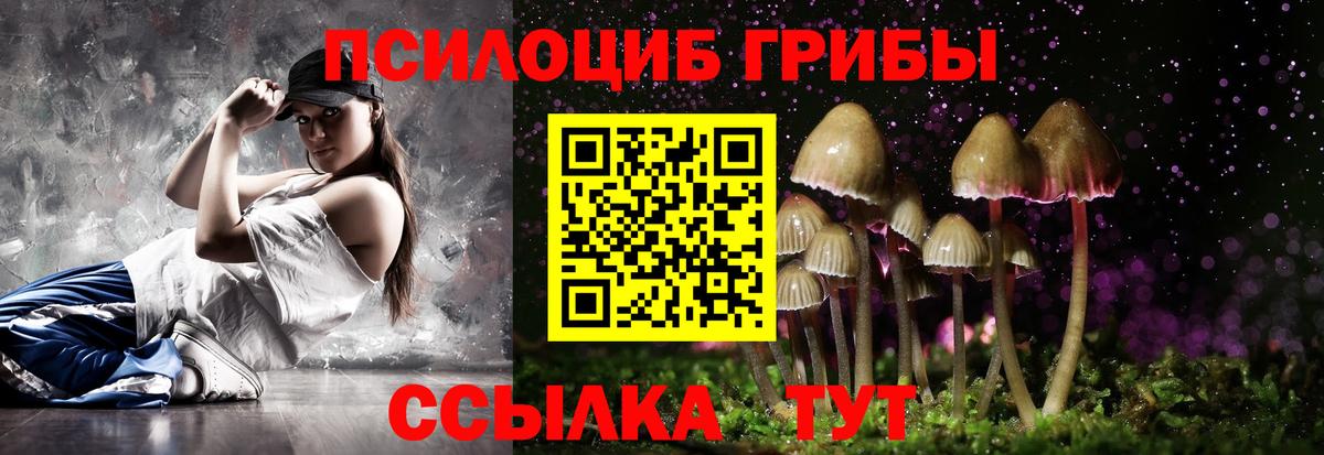 Галлюциногенные грибы Psilocybine cubensis  Вход с VPN  закладки  Железноводск 